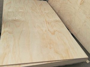 CDX Pine Plywood 2440 x 1220 x 12mm CDX Grade Ply ( Common: 1/2 in. 4 ft. x 8 ft. CDX Project Panel )