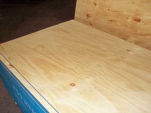 CDX Pine Plywood 2440 x 1220 x 15mm CDX Grade Ply ( Common: 19/30 in. 4 ft. x 8 ft. CDX Project Panel )