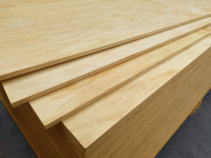 CDX Pine Plywood 2440 x 1220 x 17mm CDX Grade Ply ( Common: 23/32 in. 4 ft. x 8 ft. CDX Project Panel )