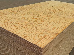 Structural Plywood Sheets 2400 x 1200 x 21mm CD Grade ( For structural Use Ply 21mm ) | SENSO