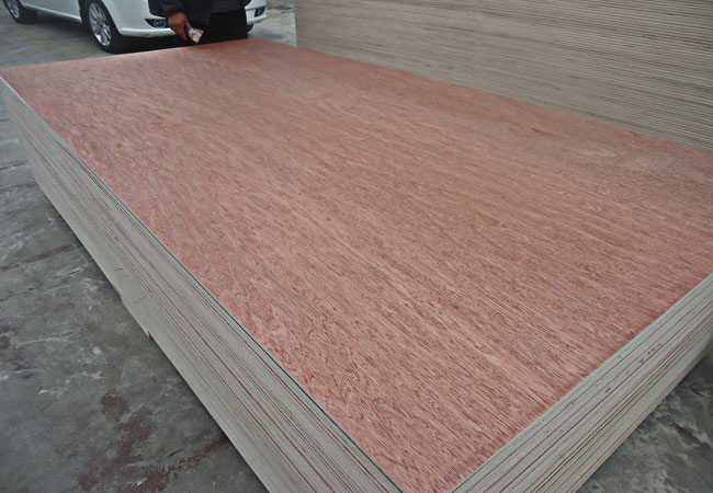 https://www.plywood.cn/bintangor-plywood-1220mmx2440mm-2-7-21mm-product/