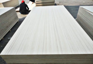 EV Plywood 1220mmx2440mm 2.7-21mm