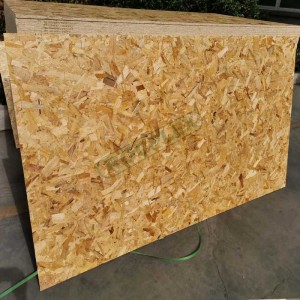 T&G Oriented Strand Board 15mm ( Common: 19/32 in. x 4 ft. x 8 ft. Tongue and Groove OSB Board )