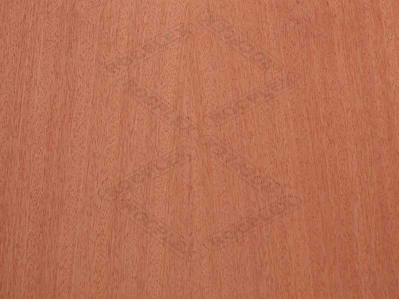 sapele plywood, sapele plywood price, sapele mahogany plywood, sapele marine plywood, sapele veneer plywood