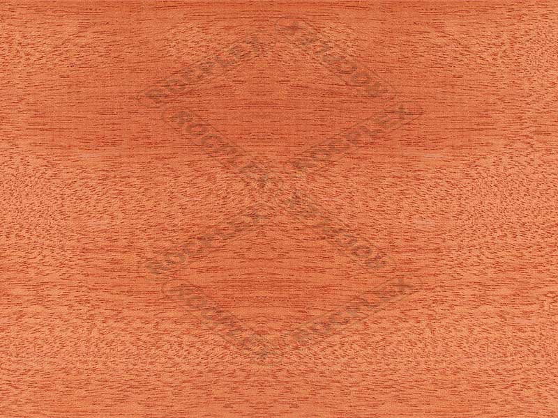 sapele plywood, sapele plywood price, sapele mahogany plywood, sapele marine plywood, sapele veneer plywood