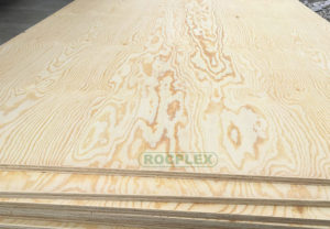 CDX Pine Plywood 2440 x 1220 x 7mm CDX Grade Ply ( Common: 4 ft. x 8 ft. CDX Project Panel )