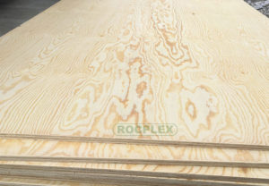 CDX Pine Plywood 2440 x 1220 x 5mm CDX Grade Ply ( Common: 1/4 in.x 4 ft. x 8 ft. CDX Project Panel )
