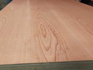 teak plywood, holly plywood, teak faced plywood, teak veneer plywood,teak boards beech plywood, beech veneer plywood, beech faced plywood, beech ply, beech plywood price