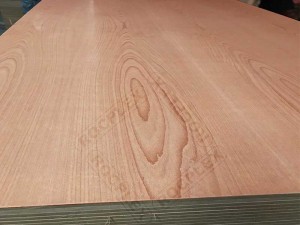 beech plywood, beech veneer plywood, beech faced plywood, beech ply, beech plywood price