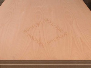 beech plywood, beech veneer plywood, beech faced plywood, beech ply, beech plywood price