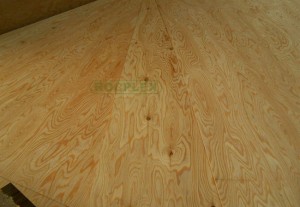 https://www.plywood.cn