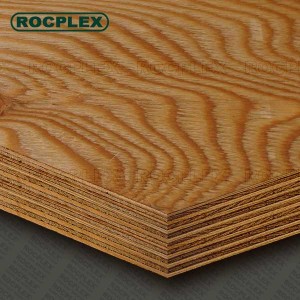 Structural Plywood Sheets 2400 x 1200 x 28mm CD Grade ( For structural Use Ply 28mm ) | SENSO