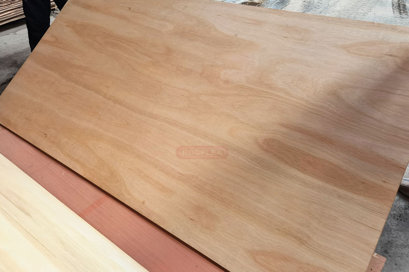 eucalyptus plywood, eucalyptus ply, eucalyptus board, eucalyptus lumber, plyboard sheet