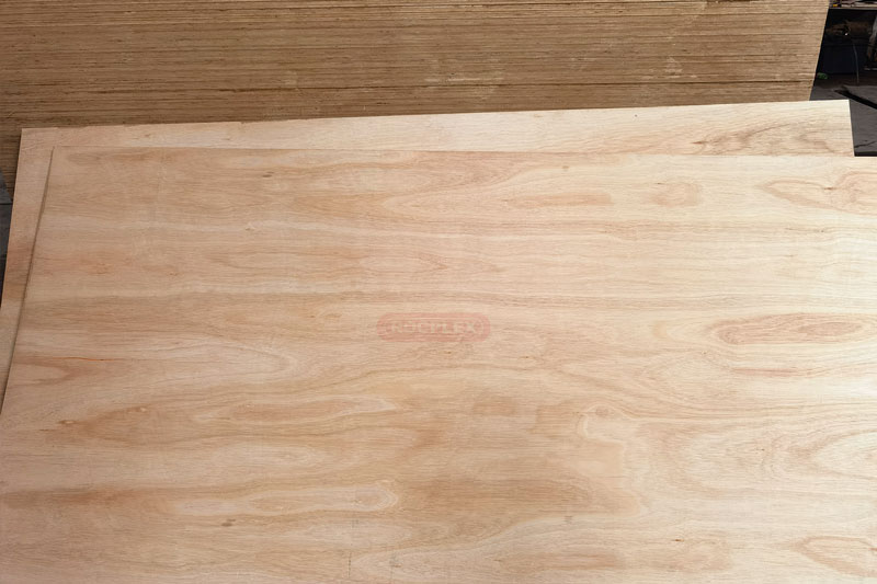 eucalyptus plywood, eucalyptus ply, eucalyptus board, eucalyptus lumber, plyboard sheet