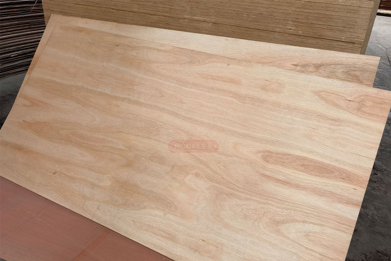 eucalyptus plywood, eucalyptus ply, eucalyptus board, eucalyptus lumber, plyboard sheet