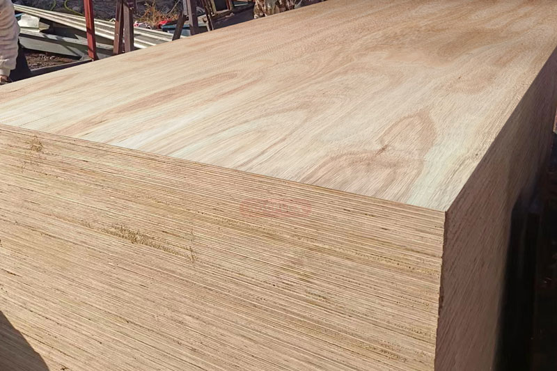 eucalyptus plywood, eucalyptus ply, eucalyptus board, eucalyptus lumber, plyboard sheet