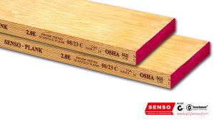 scaffold plank