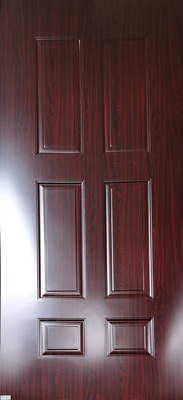 Door Skin