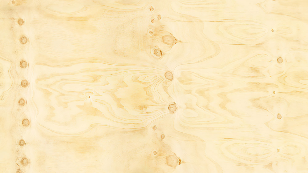 CDX Pine Plywood Grade C