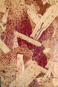 ROCPLEX OSB4 board, also known as structural OSB4 panel or OSB4 sheet. Engineered for extreme structural performance, ROCPLEX OSB4 offers waterproof and moisture-resistant properties for heavy-duty applications such as wall sheathing, roofing, subflooring, and industrial construction. Available in 18mm OSB4 and 22mm OSB4 sizes, ROCPLEX OSB4 panels deliver outstanding strength and load-bearing capacity in high-humidity environments. As a professional OSB4 supplier and manufacturer, ROCPLEX provides premium, heavy-duty OSB boards at competitive prices.