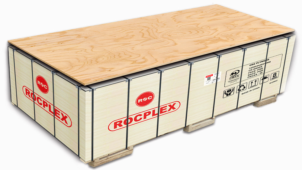 CDX Pine Plywood